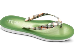 Gelato Man Tartan*Gelattto GELATO MAN TARTAN KIWI